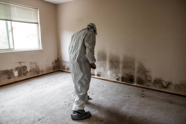 Best Mold Testing  in Grissom Af, IN